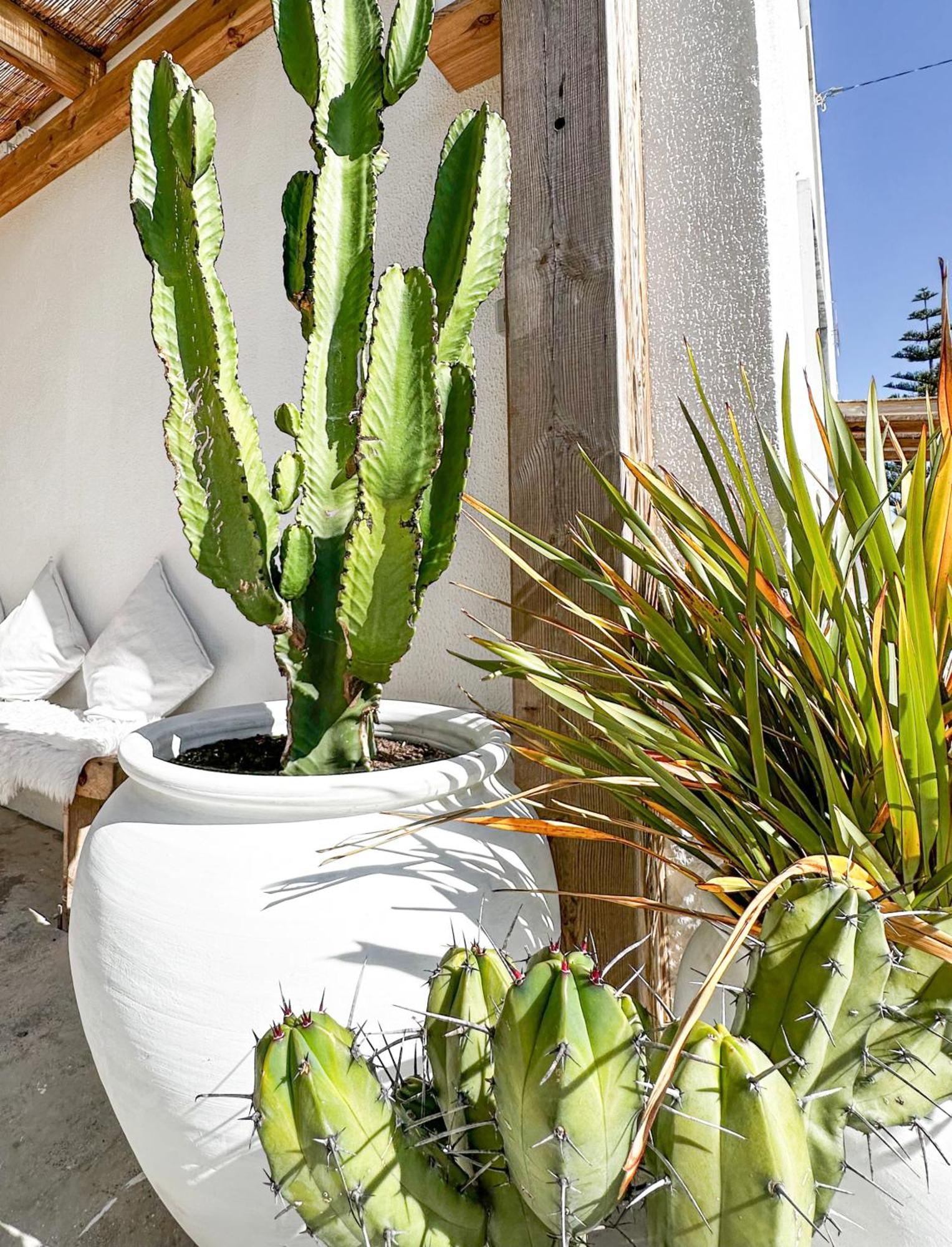 Ocean House - Ribeira D'Ilhas Ericeira Hostel Exterior photo